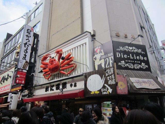 Dotonbori in Osaka City  (Visit Kansai)