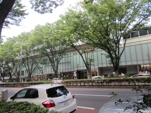 Omotesando Street